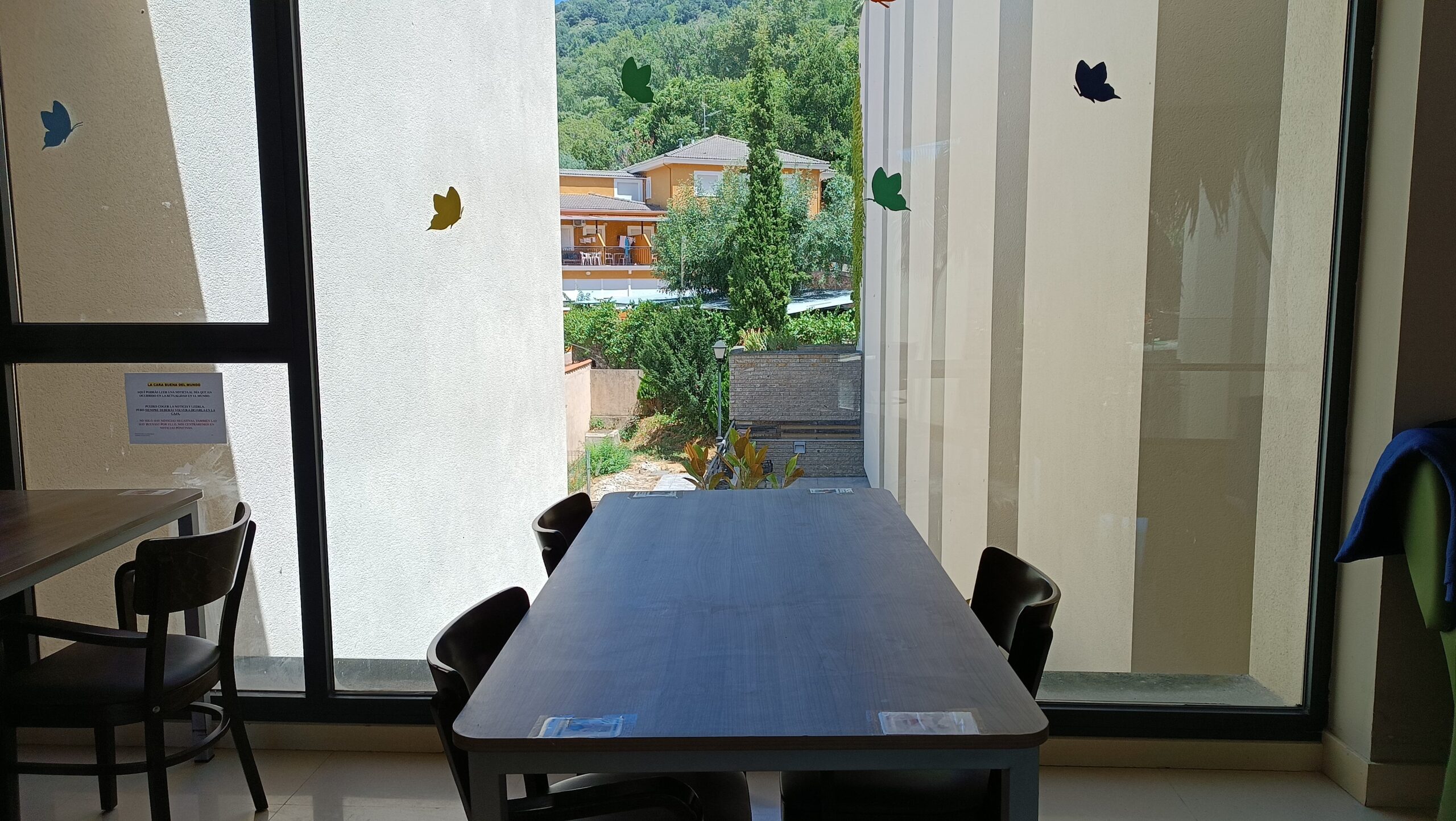 Patio interior con banderines y vegetación