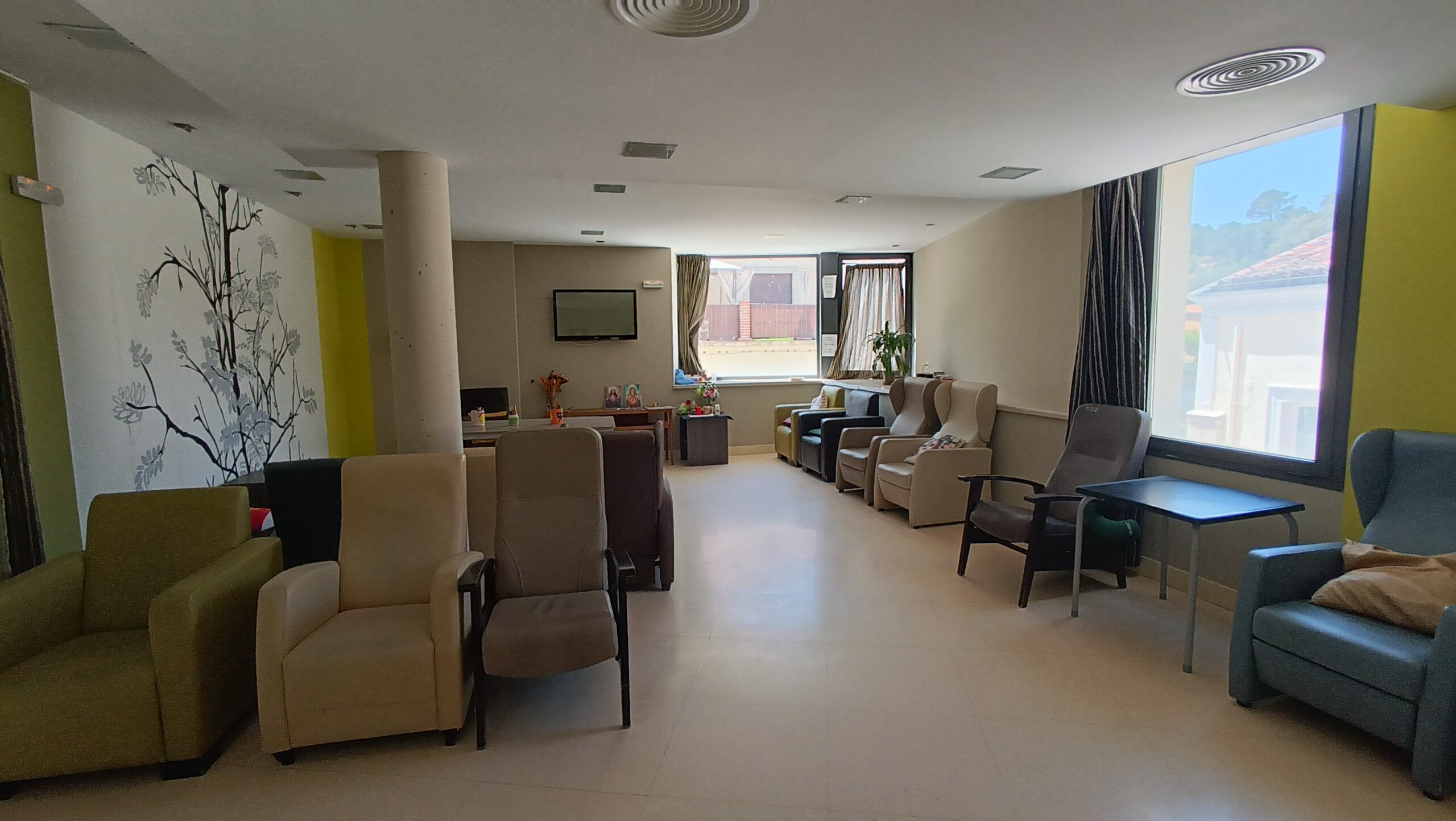 Sala amplia con butacas y decoración vegetal